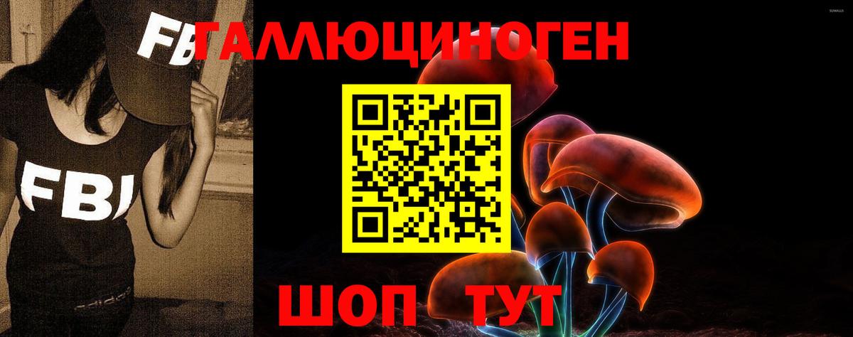 Галлюциногенные грибы Cubensis  Вход с VPN  Кострома 